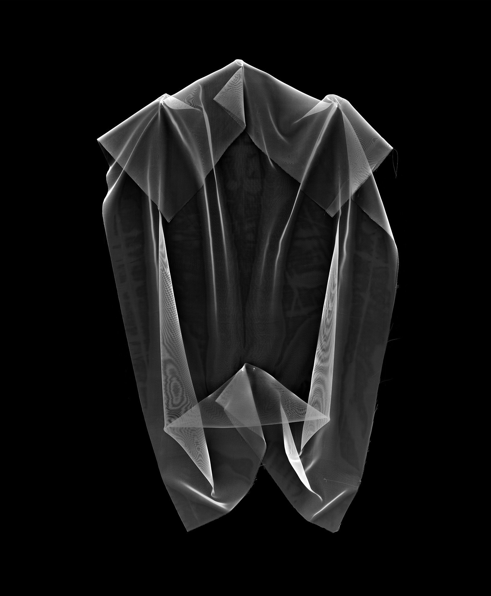 Veil
