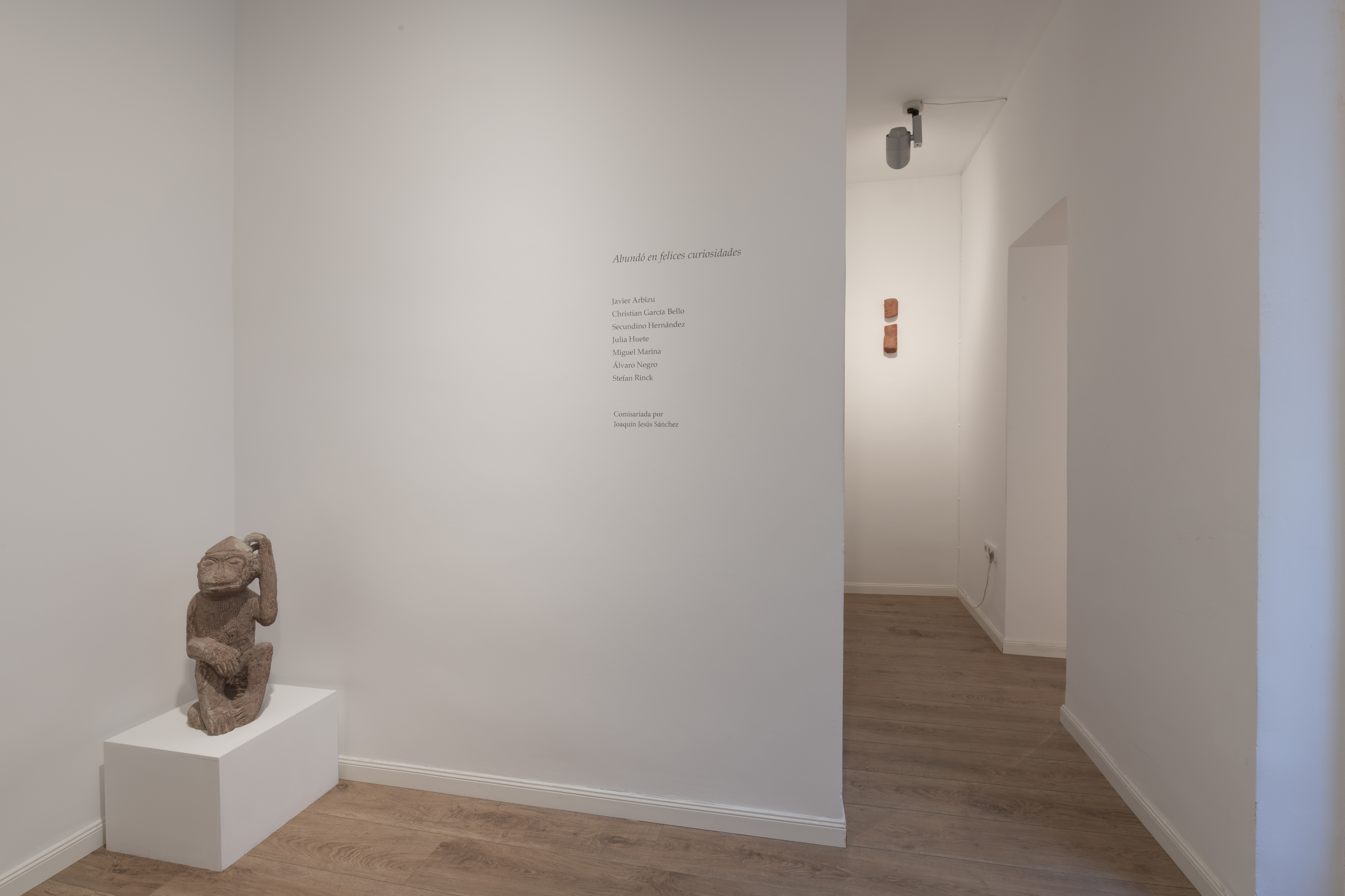 Abundó en felices curiosidades