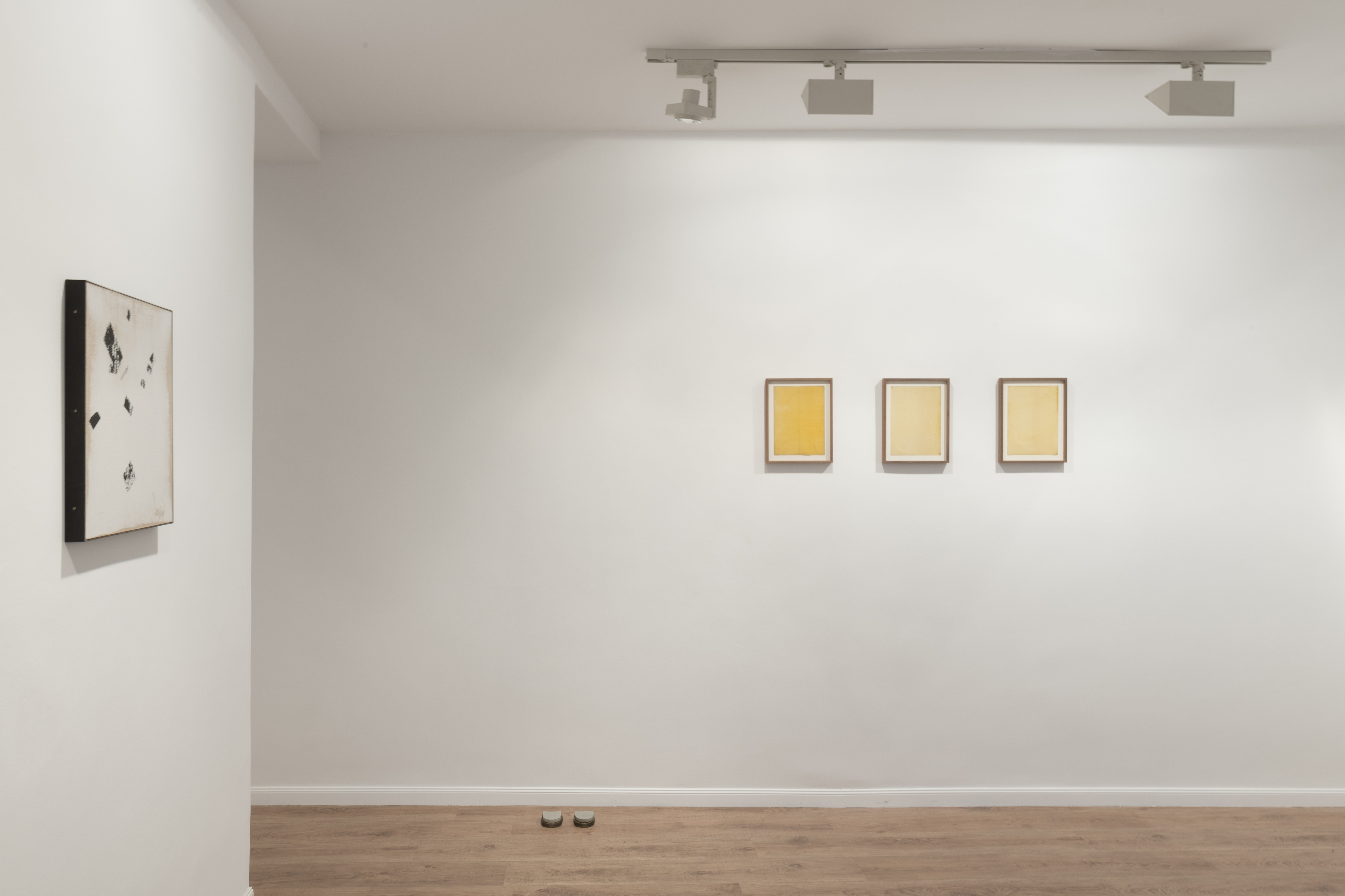 Abundó en felices curiosidades