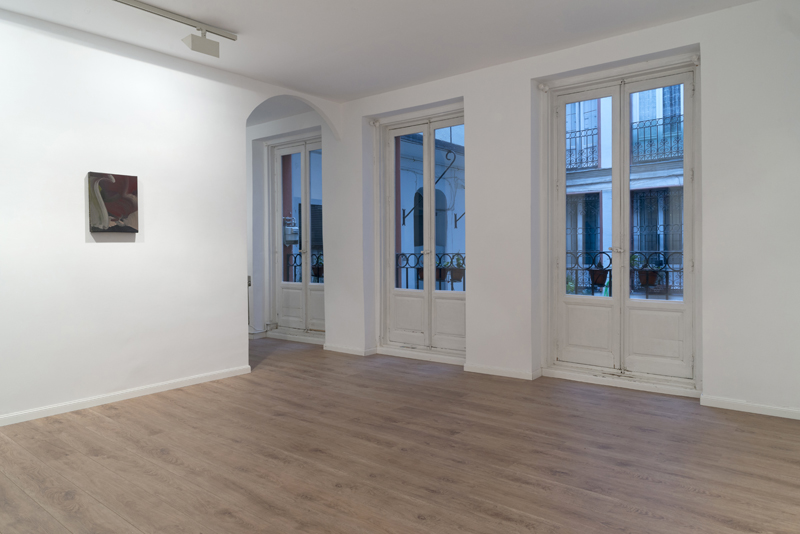 Cat on the raz and other tales from fish island