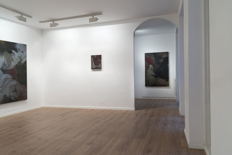 Cat on the raz and other tales from fish island