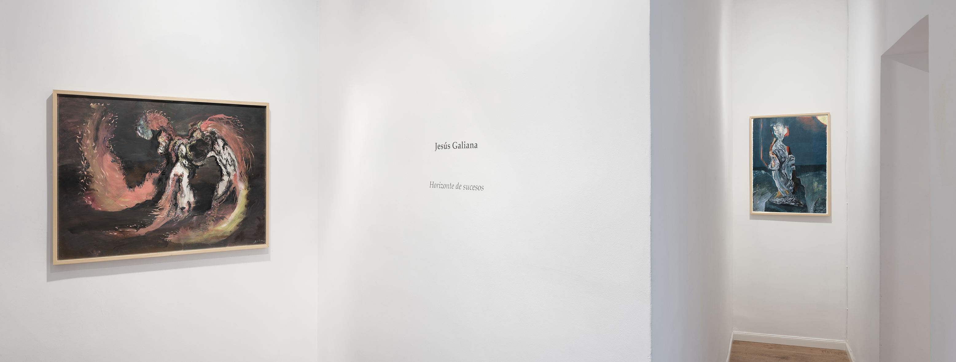 Horizonte de sucesos