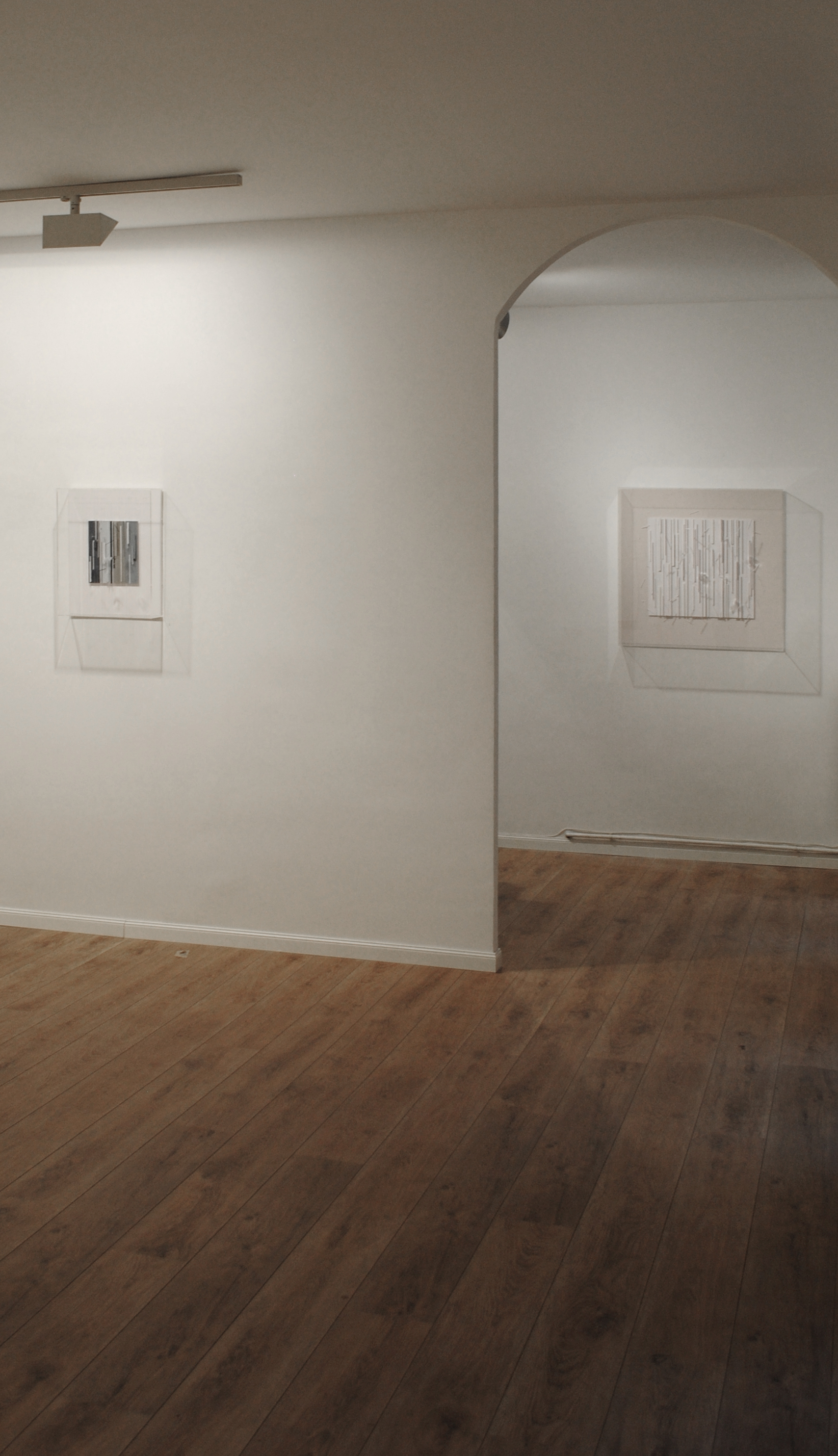 Transición al equilibrio-Robert Ferrer i Martorell